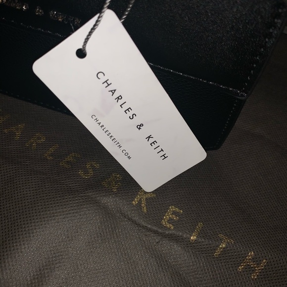 Charles and Keith Sling Bag - Picture 3 of 3